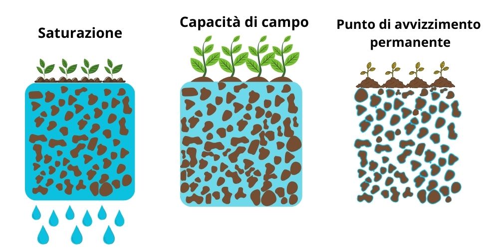 capacità-di-campo